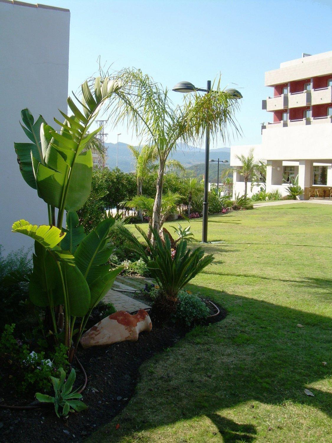 Hotel Montera Plaza Los Barrios Eksteriør bilde